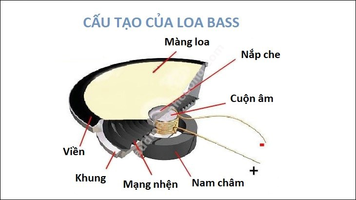 Loa bass là gì? Cấu tạo ra sao và nguyên lí hoạt động của loa bass